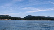 IMG_2082: 9.9mm f/4, 1/1250s, ISO 80
