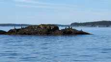 IMG_2098: 22.9mm f/5, 1/800s, ISO 80