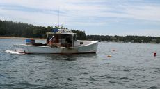 IMG_2141: 11.8mm f/4, 1/1250s, ISO 80