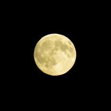 IMG_3403: 135mm f/6.9, 1/160s, ISO 400
