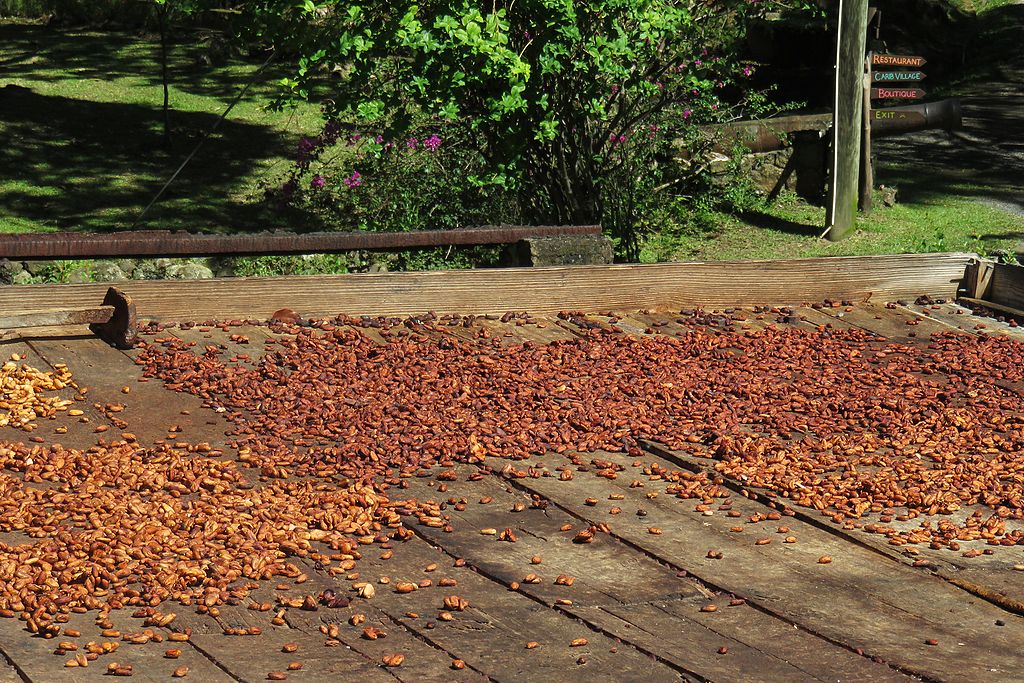 IMG_3880: 19.2mm f/5, 1/400s, ISO 80